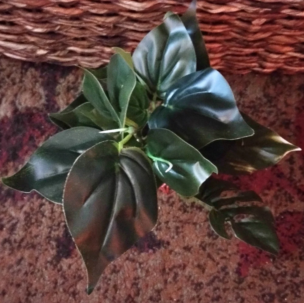 Aquarium Decor